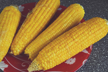 Sweet corn ears background on plate