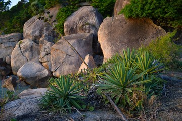 Algarve am Strand von Cheung Chau