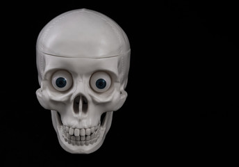 skeleton, human skull on a black background. close-up