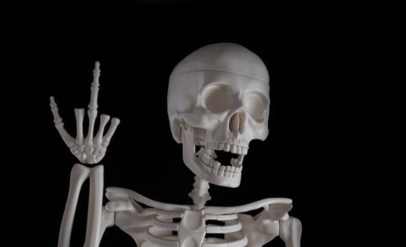 skeleton shows middle finger, black background
