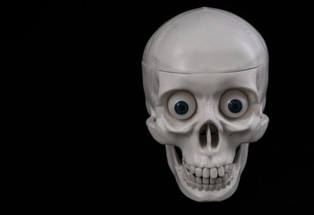 skeleton, human skull on a black background. close-up