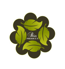 Biological environmental group of leafs icon