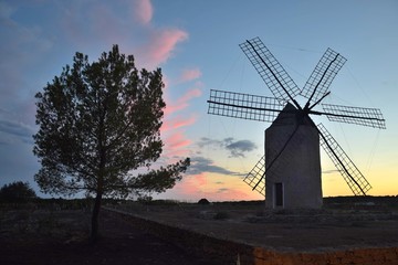 Alte Mühle Molí Vell de la Mola auf Formentera