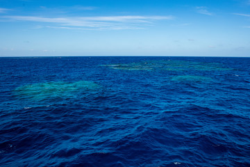 Fototapeta na wymiar rafa na morzu