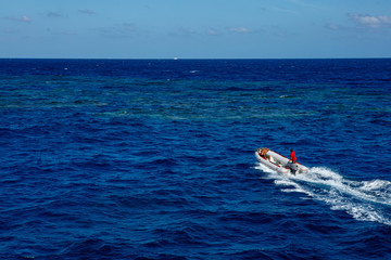 zodiak płynie do rafy  © Mariusz