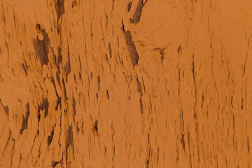 stara ściana © elisabeth3