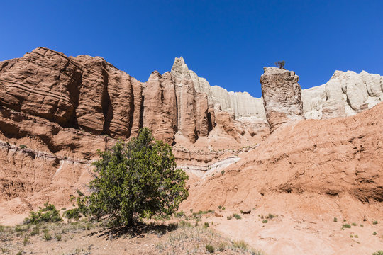 Red rock sandstone formations on the Grand Parade Trail, Kodachrome Basin State Park, Utah
