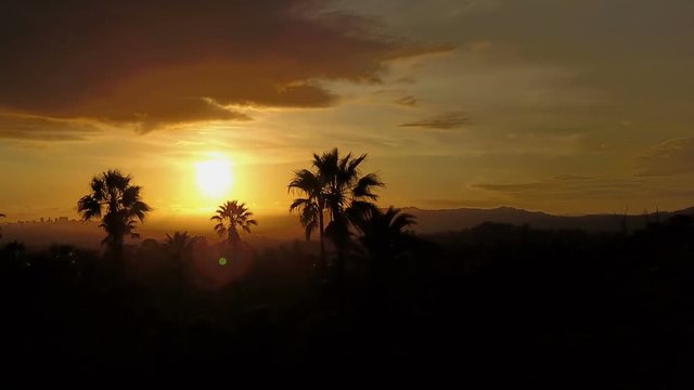 Silhouette of palm trees and a beautiful sunset.