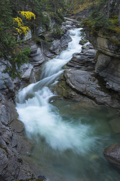 River flowing through Maligne Canyon with autumn foliage, Jasper National Park, Alberta, Canada