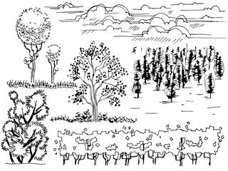 set of graphic line Illustration , the entourage of trees on a white background