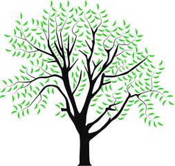 Obraz premium vector image of a tree in spring
