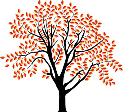 vector image of a tree in autumn