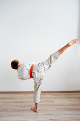 Karate boy training