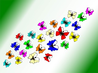 bright butterflies on a white background