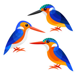 
Stylized Birds - Malagasy Kingfisher, White-bellied Kingfisher and Malachite Kingfisher