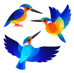 Stylized Birds - Malagasy Kingfisher 