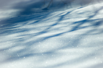Fototapeta na wymiar Gentle snow carpet