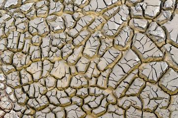 Cracked earth texture background. Dry soil Arid, drought land light color. Global warming, environmental protection.
