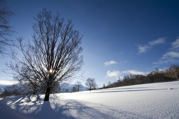 奥志賀の雪景色
