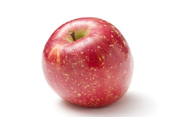 りんご（サンふじ）
