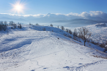 Winter landscape with lots of snow and trees