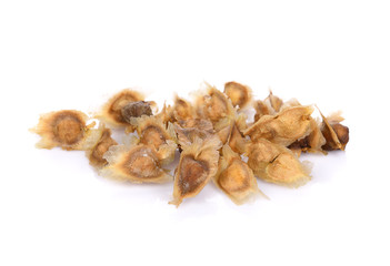 Moringa seeds. Isolated on white background.