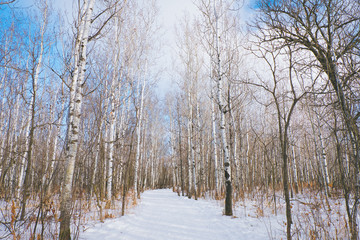 winter View