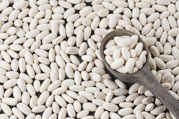 Raw organic white beans - Phaseolus vulgaris