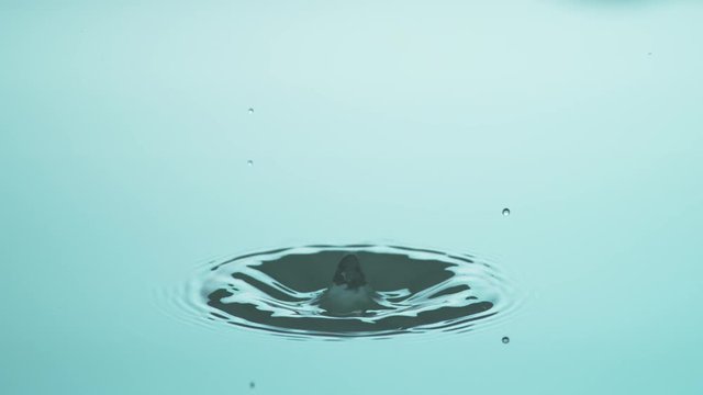 Drop of Water hits Water Surface in Slow Motion - 4K - 1000fps