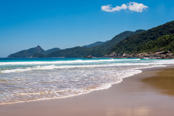 Fototapeta na wymiar Beautiful Empty Tropical Beach in Brazil