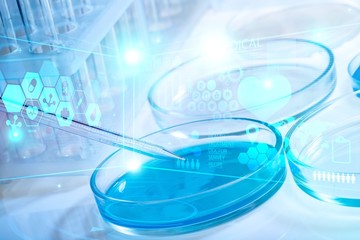 Lab.