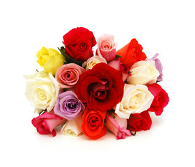 Colorful roses, beautiful flower bouquet on white background