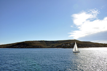 Smooth sailing near Manly