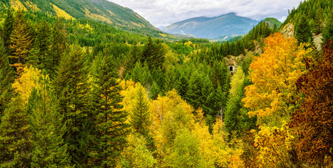 Fall foliage in the Lillooet-Fraser Canyon, British Columbia, Canada © Ferenc