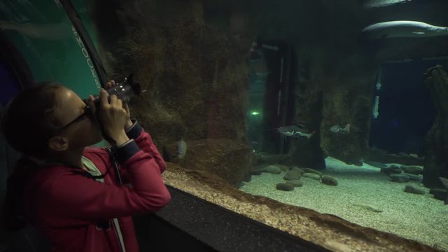 Girl takes pictures of colorful underwater world stock footage video