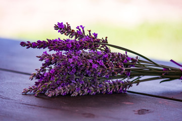Lavender Bundle Bouquet