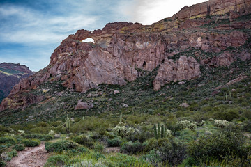 A trais leads into the rugged back country towards the Double Arches of Organ Pipe National Monument in southern Arizona.