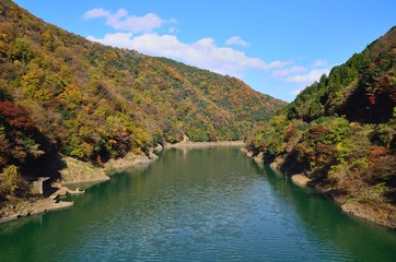 Fototapeta premium 京都 宇治川
