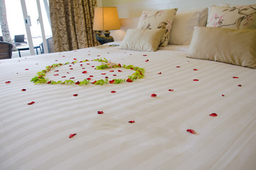 Rose on the bed