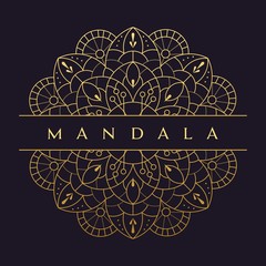 Mandala flower beautiful vector vintage 

decorative element oriental illustration