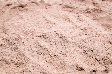 Close up of Whey Protien Powder in the Jar.