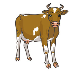 yellow cow, cartoon