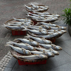 Traditional drying of salted fish fishery in Macau