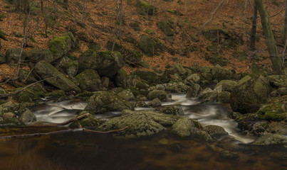 Cerny creek in Jizerske mountains in dark autumn day