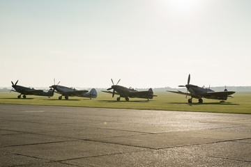 Fleet of Spitfire Aircraft Parked by the Side of Runway - obrazy, fototapety, plakaty