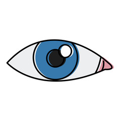 Human eye isolated icon vector illustration graphic design