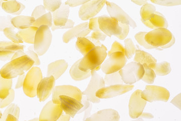 almond petals closeup