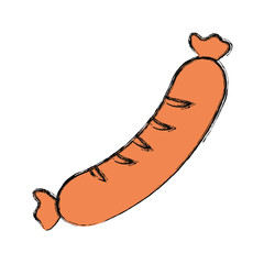sausage  vector  illustration