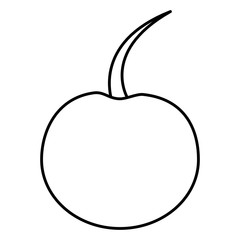 cherry fruit isolated icon vector illustration design