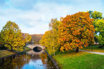 Obraz premium Golden autumn trees around in Riga